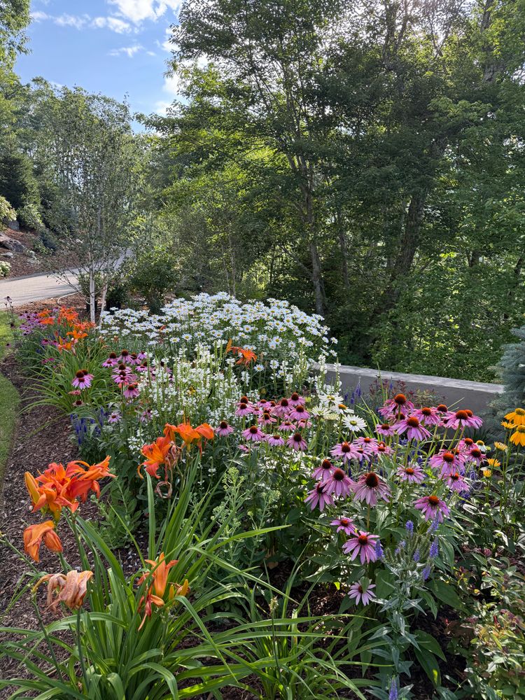 All Photos for Sustainable Lawn and Landscape in Banner Elk, NC