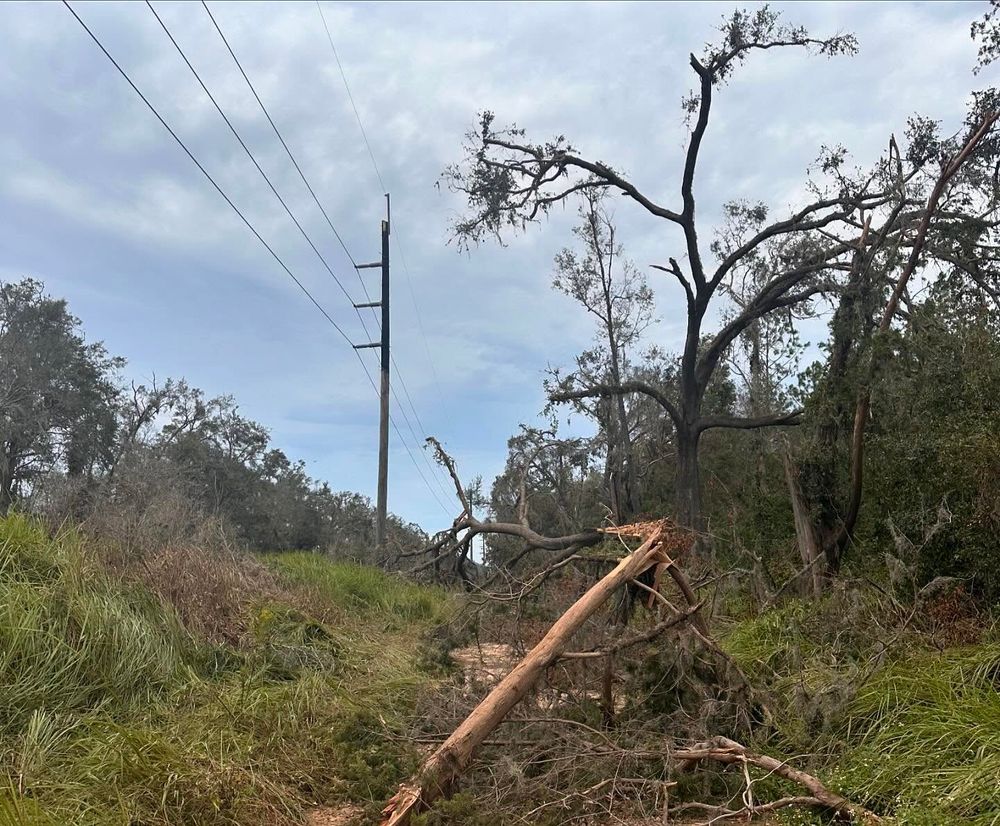 Excavating for C&C Excavating in Live Oak, FL