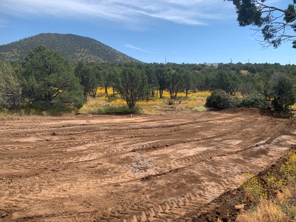 Our Land Clearing services efficiently prepare your property for new projects, removing unwanted vegetation to create a clean slate while ensuring safety and minimal environmental impact. for S&D Excavations in Ash Fork, AZ