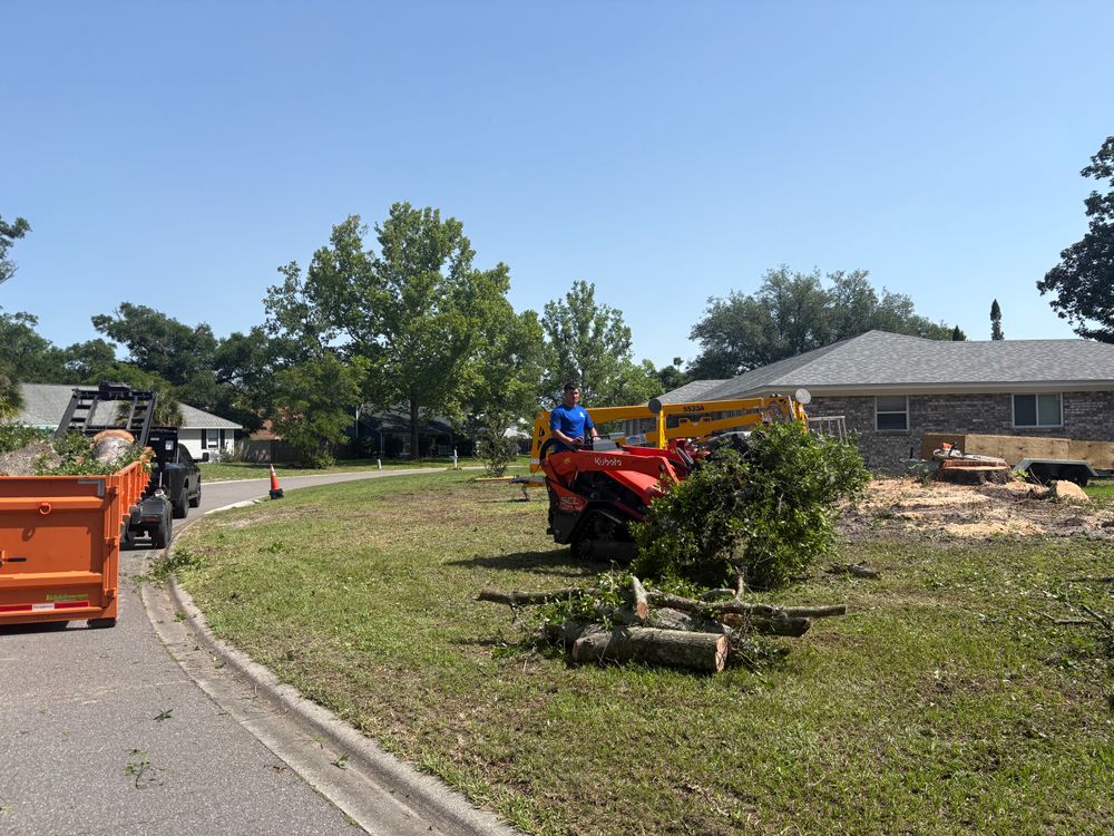 All Photos for Top Notch Tree Experts in Orange Park, FL