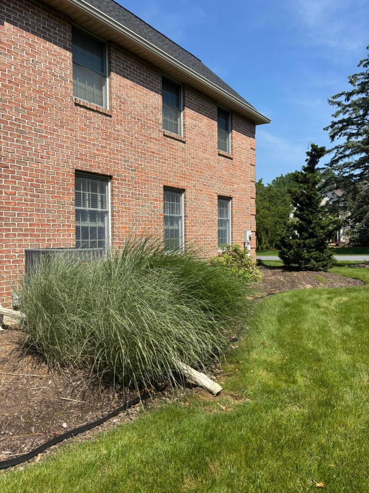 All Photos for Rigante LandWorx in Nazareth, PA