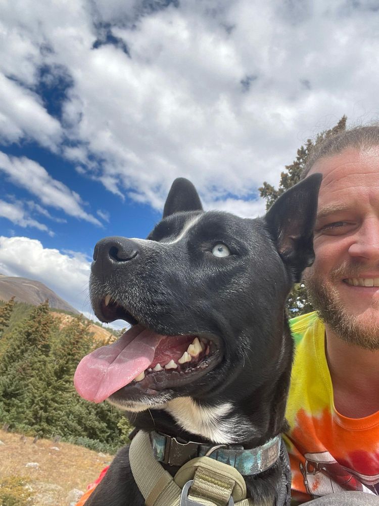 It's really about the pets we meet along the way... for Mr. Pipe Dreams LLC in Colorado Springs, CO