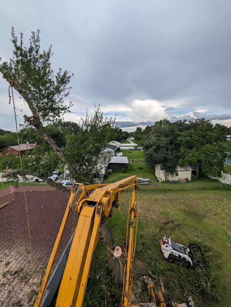 All Photos for Regal Tree Service and Stump Grinding in Wauchula, FL
