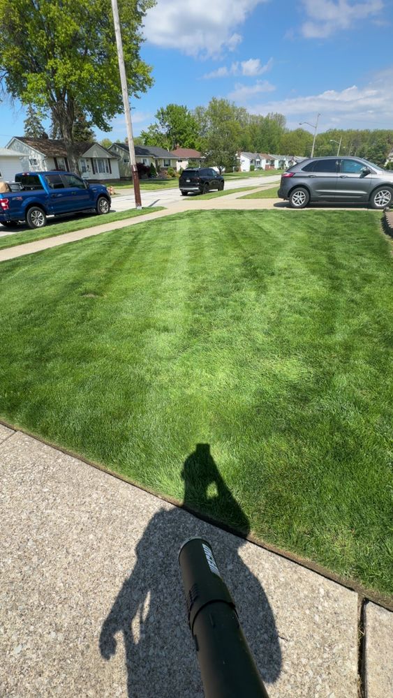 All Photos for Yard Theory in Willowick, OH