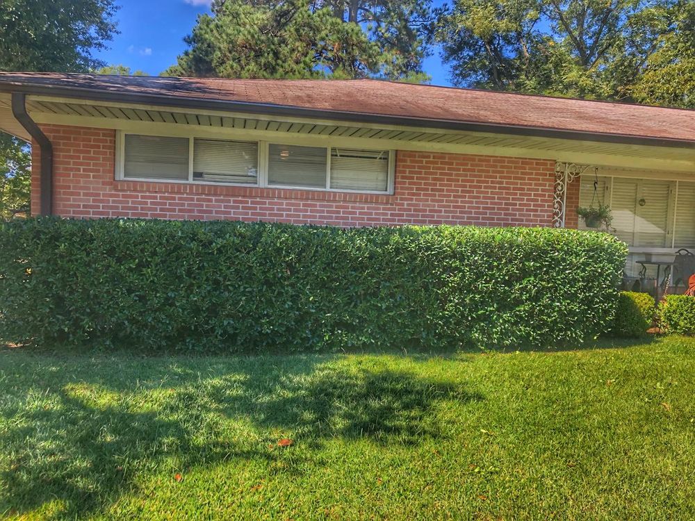 All Photos for Lawn Rescue in Texarkana, TX