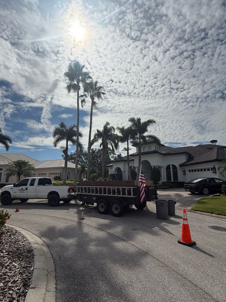 Tree Removal for Damian’s Tree Care in Sarasota, FL