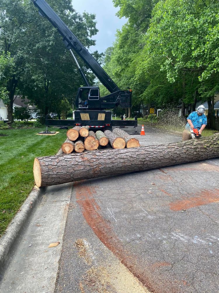 Our Tree Removal service offers safe, efficient, and professional removal of unwanted or hazardous trees. We ensure minimal disruption to your property while prioritizing health and safety standards. for MTJ Tree Removal LLC in Zebulon, NC