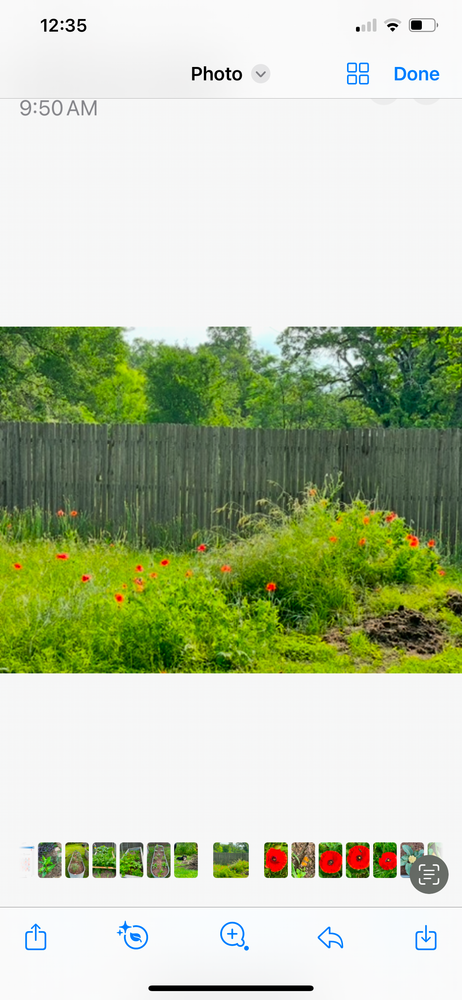 All Photos for CDagwood Fencing in Mineral Wells, TX