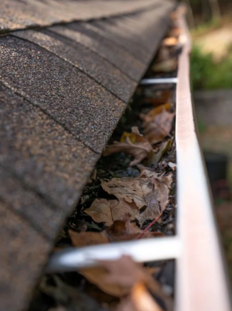 Ensure your home is protected from water damage by scheduling our Clean Gutters service. Our expert team will remove debris and blockages, guaranteeing smooth water flow and preserving the integrity of your property. for Property Elites  in Toronto, 