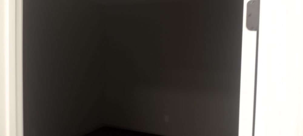 All Photos for Bradley Bradshaw Painting in Christmas, FL