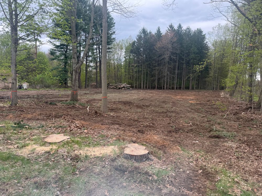 Land Clearing for Lovenguth Logging and Tree Service in West Monroe, NY