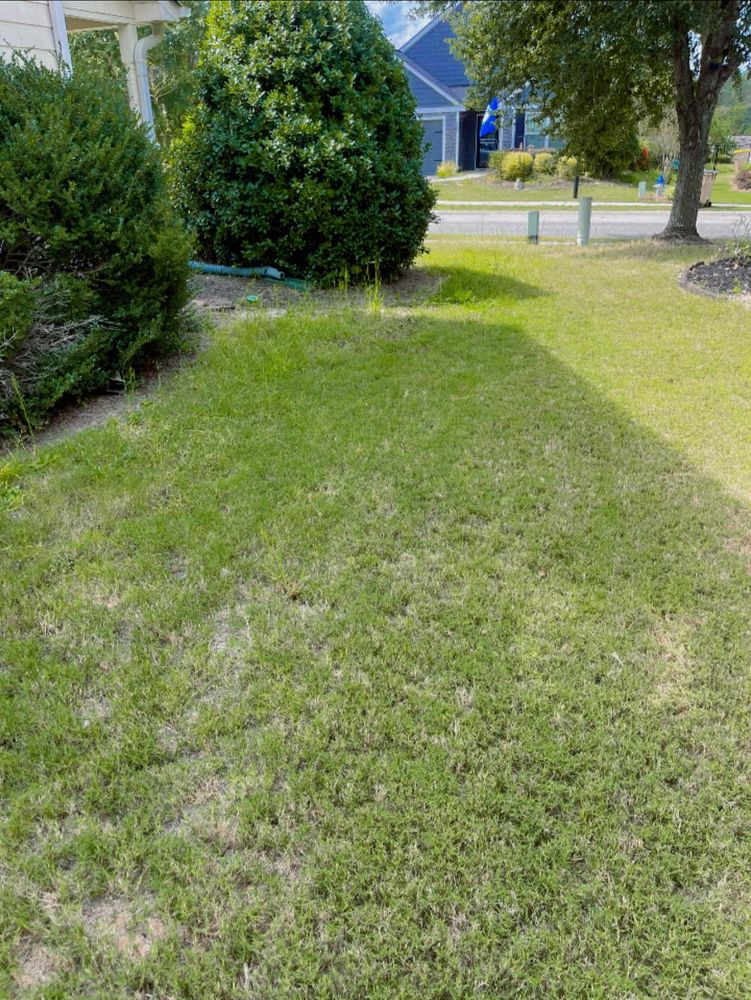 All Photos for Clark's Cuts Lawn Care in Lilburn, GA