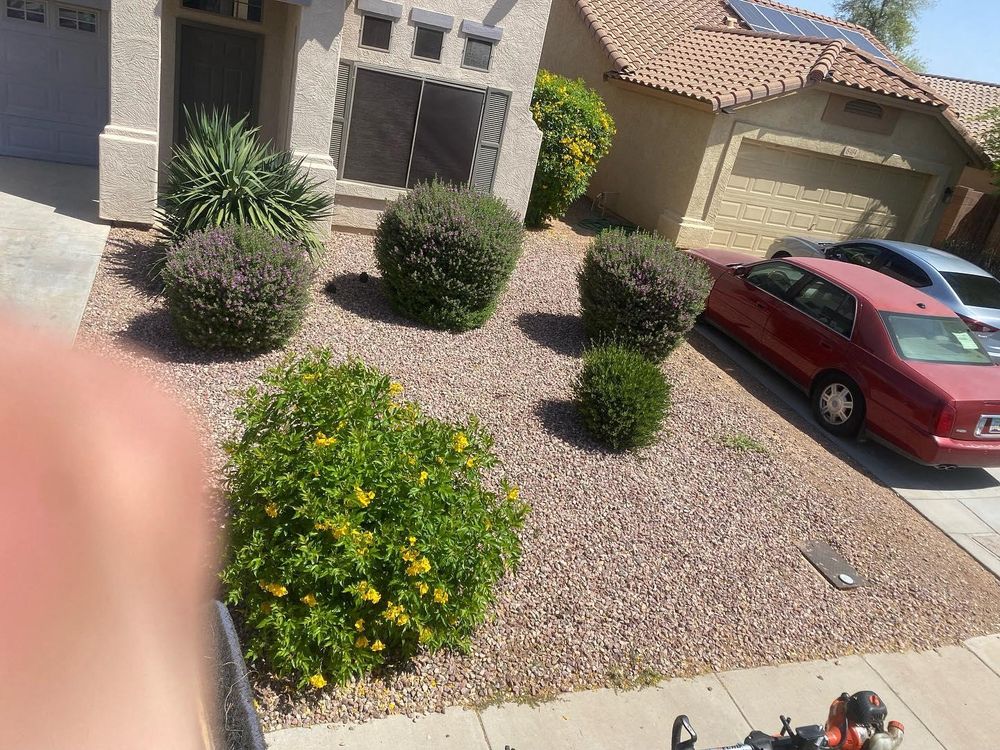 Commercial Lawn Maintenance for American Dream Landscape Company in Surprise, AZ