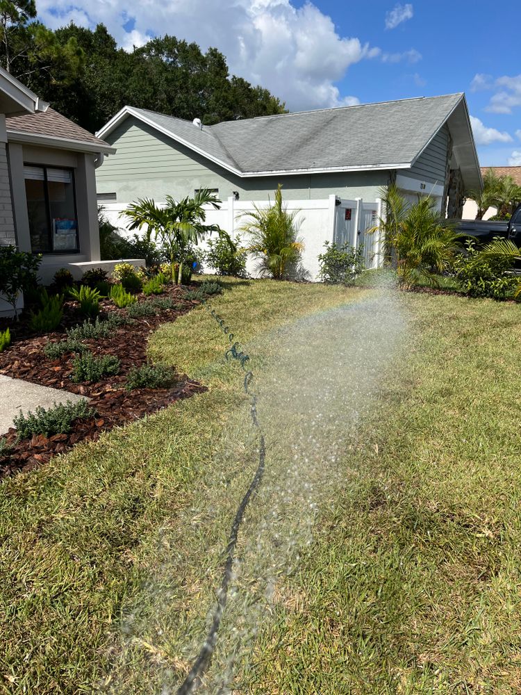 Sodding  for Verimay's Garden and Landscaping in Hillsborough County, FL