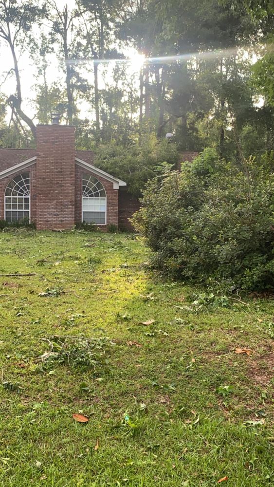 All Photos for Tates Tree Service in Tallahassee, FL