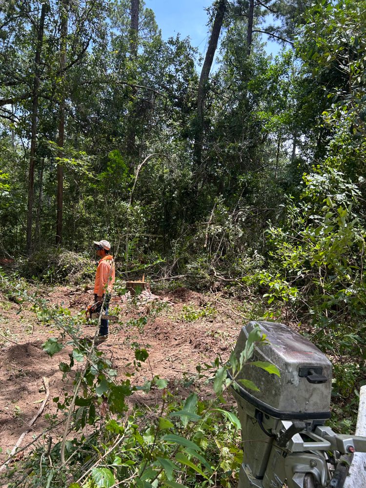 Tree Removal for Broadway & McMullen Construction in Hattiesburg, MS