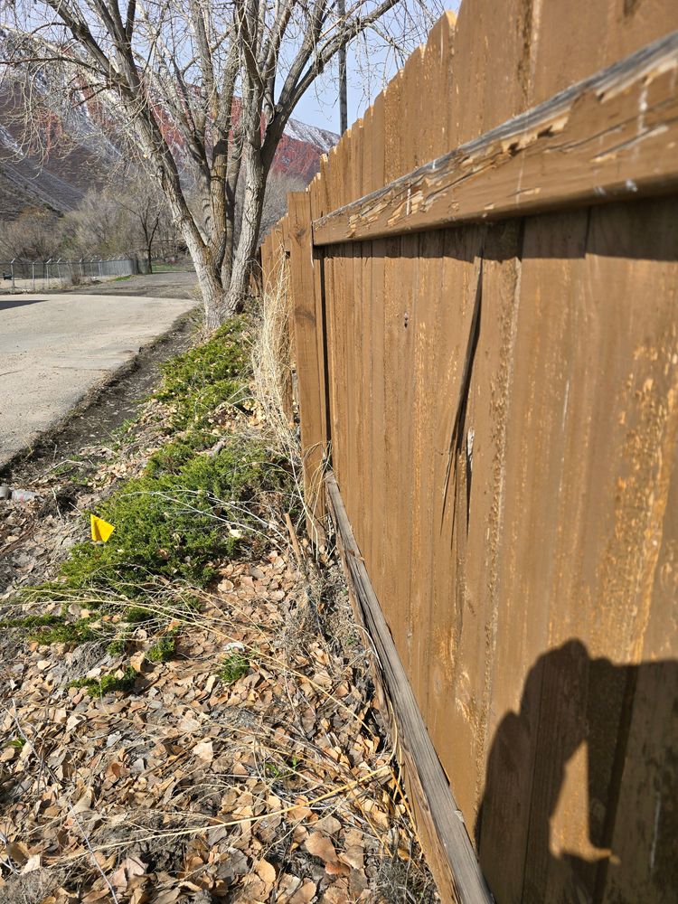 All Photos for LRS: Landscape, Rescue, Snow in Silt, CO