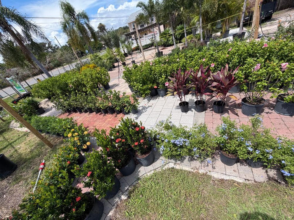 All Photos for Vanic's Landscaping in Port Orange, FL