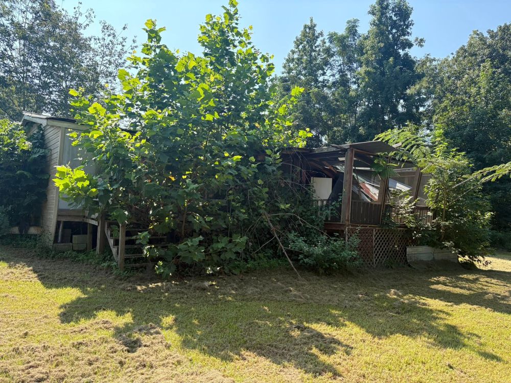 All Photos for Scalco’s Land Services in Statesboro, GA