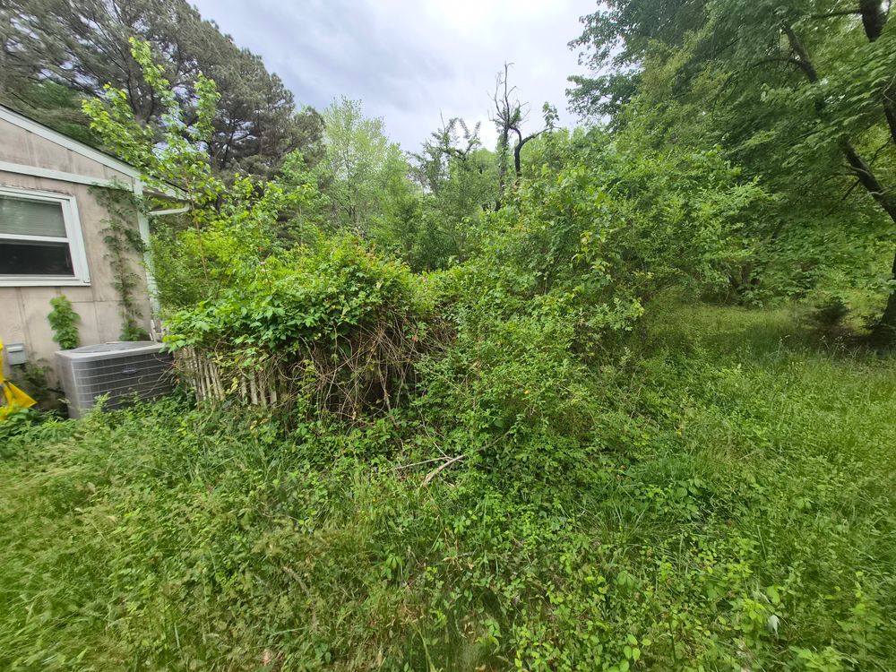 All Photos for 4 Points Lawncare LLC in Hayes, VA