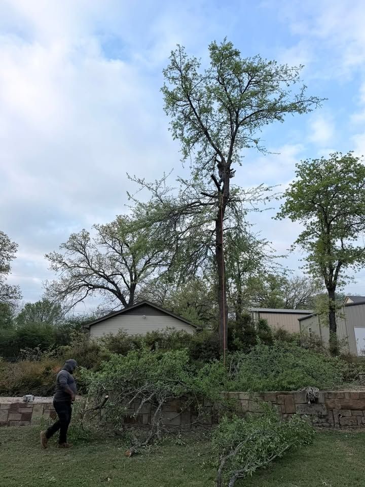 All Photos for Year Round Trees & Concrete Inc. in Fort Worth, TX