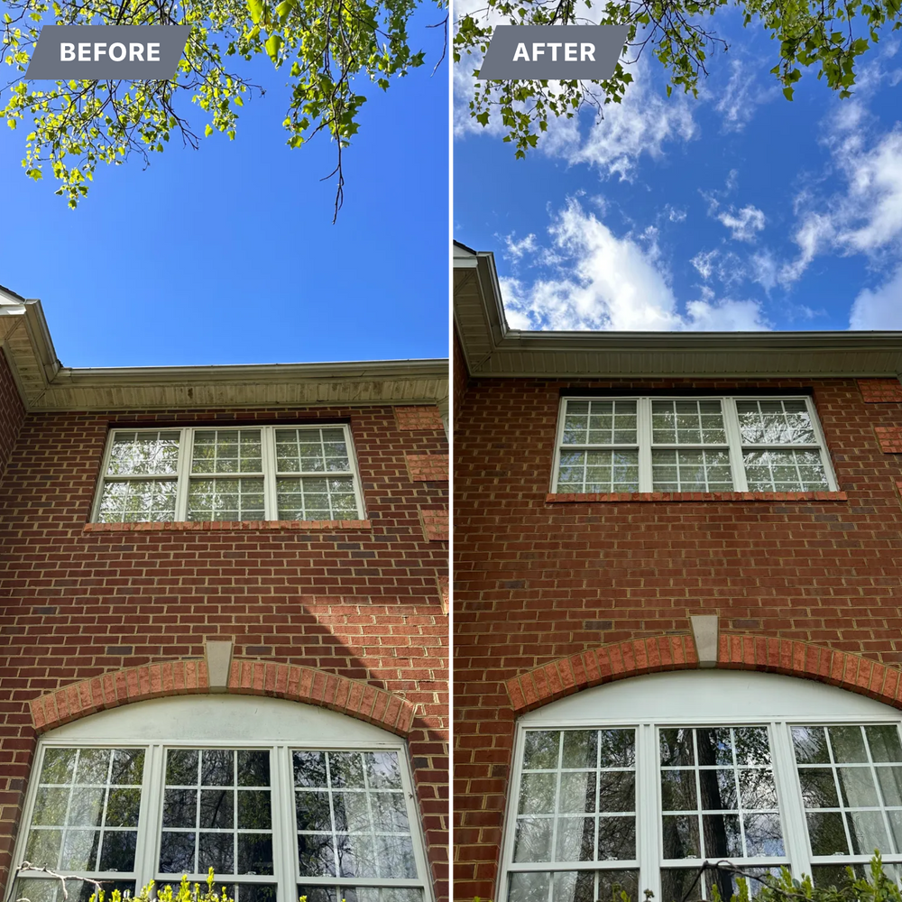 All Photos for LeafTide Solutions in Richmond, VA