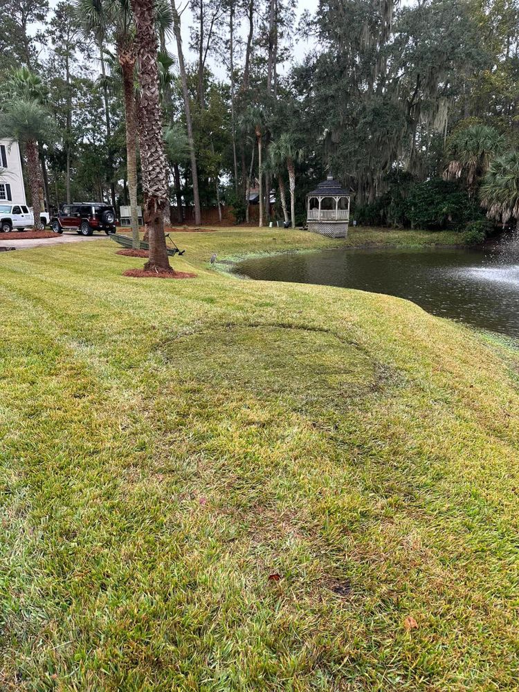 Lawn Care for Coastalscapes Landscaping & Turf Management  in Savannah, GA