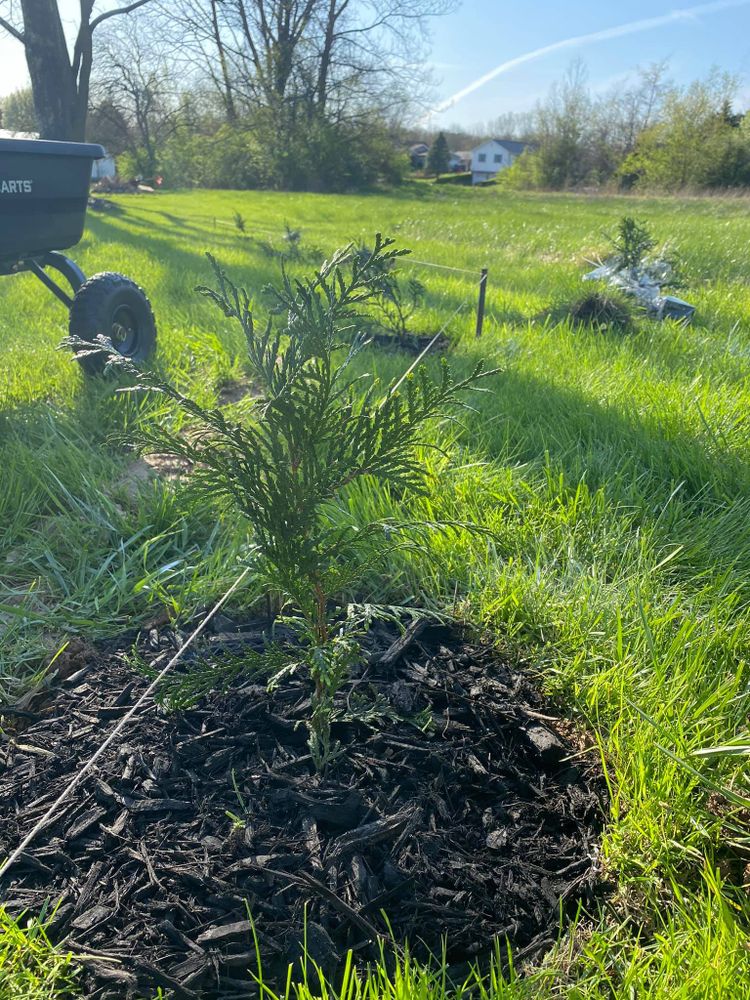 Mowing for Ashton Landscaping Co. in Springfield, Illinois