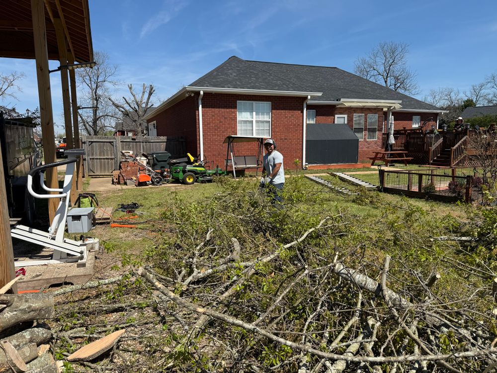 All Photos for T N L - Tree and Land Service in Reynolds, GA