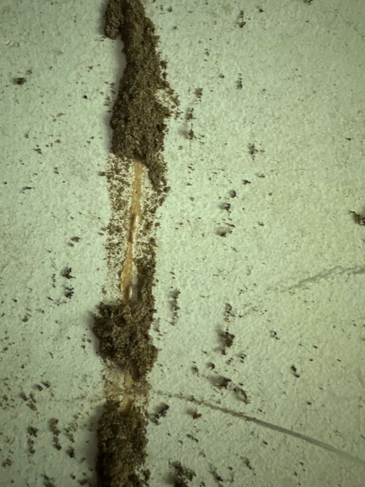 Major Renovation for Spirit Enterprise Construction LLC in Tampa Bay, FL