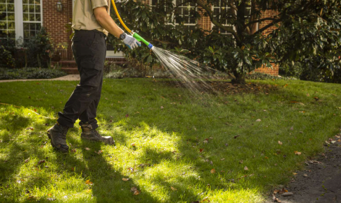 Our lawn treatments service offers tailored solutions to enhance grass health, combat weeds, and improve soil quality, ensuring a lush and vibrant lawn that enhances your home's curb appeal. for Landscape Legends in Roanoke, TX