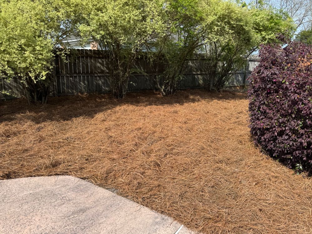 All Photos for Camalett Services in Perry, GA