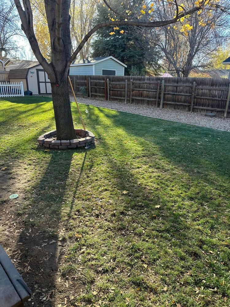 All Photos for Manscaped Lawn Care in Firestone, CO