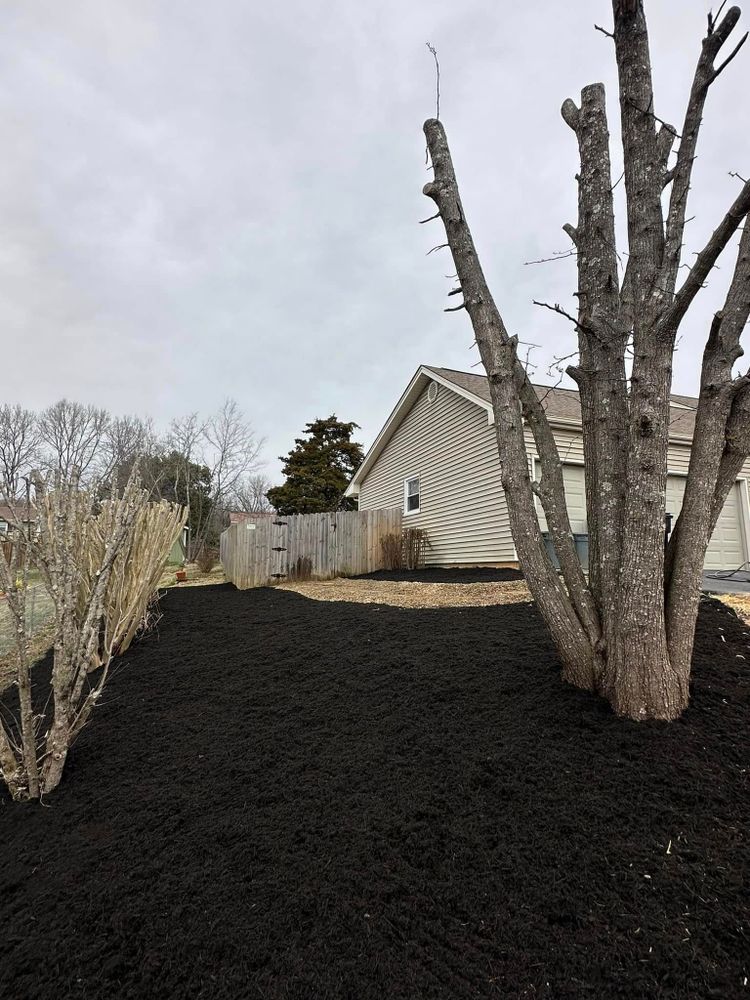 All Photos for Wiles Lawn and Landscaping in Powell, TN