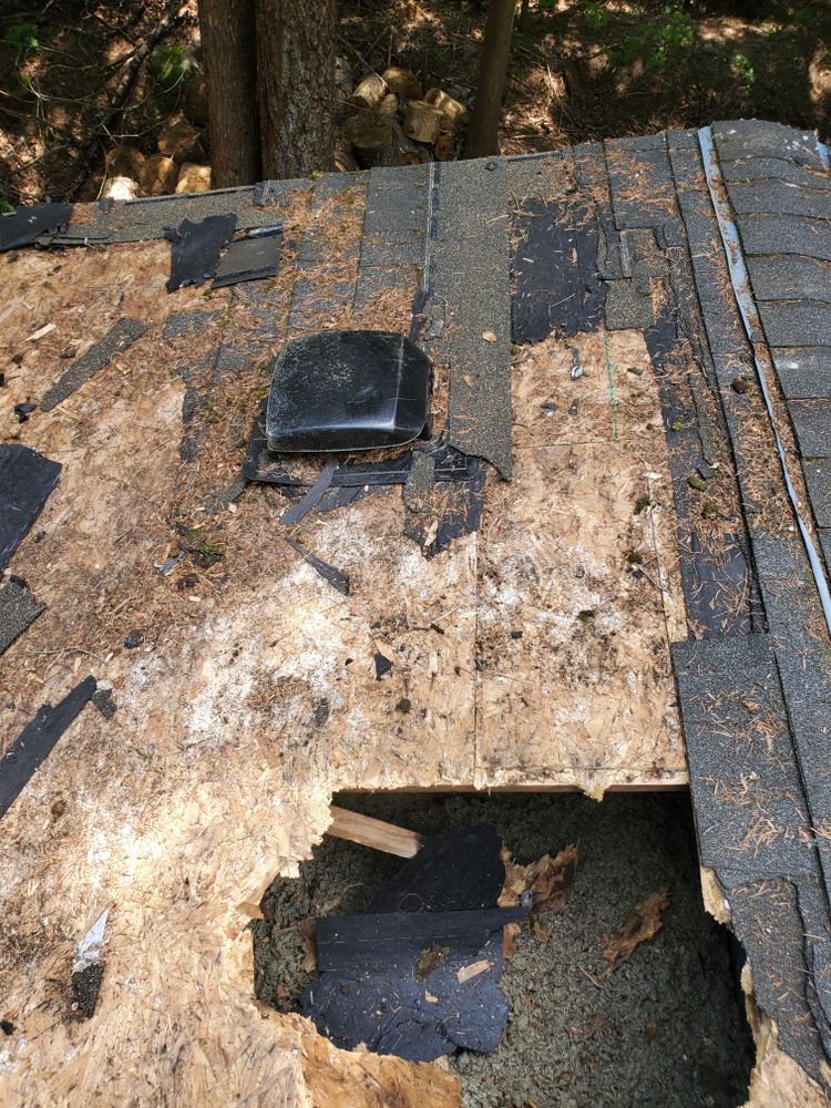 All Photos for Home Pros in Maple Falls, WA