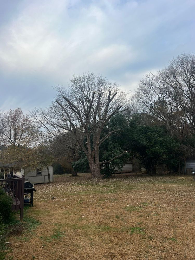 All Photos for Brooks Tree Service, LLC in Casar, NC