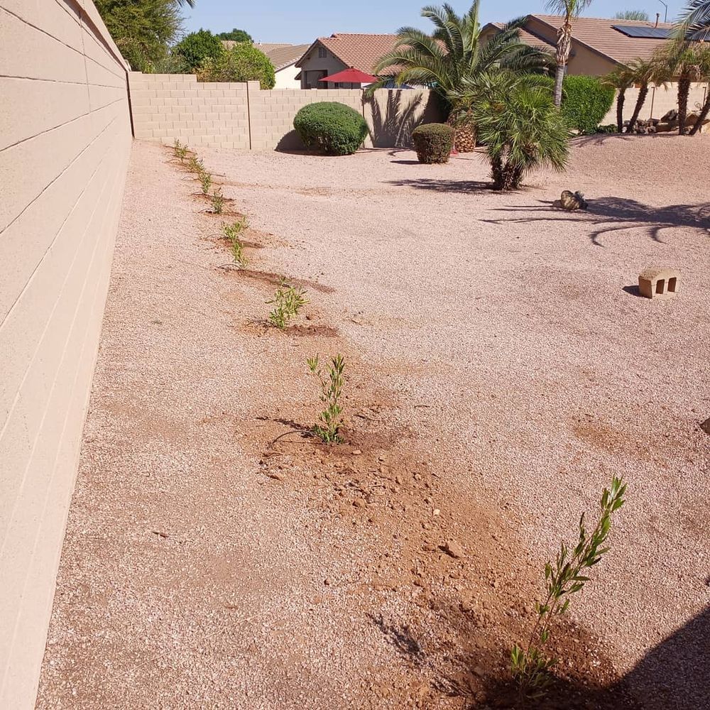 All Photos for CRAJE Landscaping LLC in Mesa, AZ
