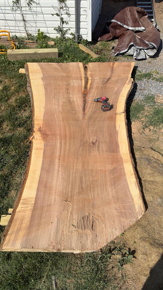 All Photos for Brocks Tree Service LLC in Rogersville, TN