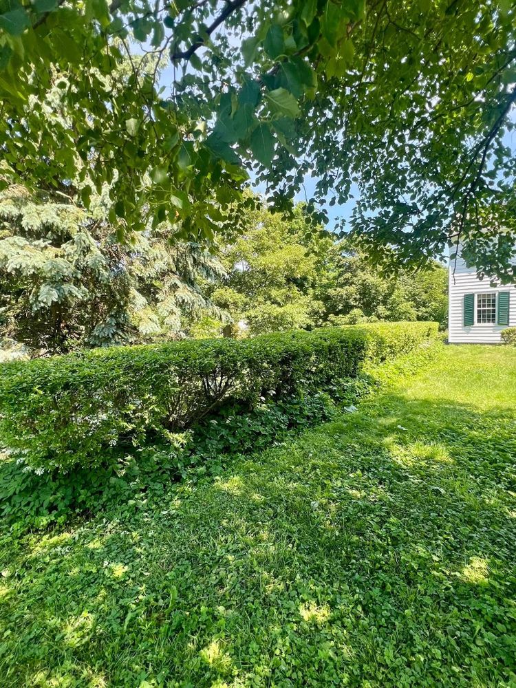 All Photos for Bishop’s Property Maintenance in Franklin, VT