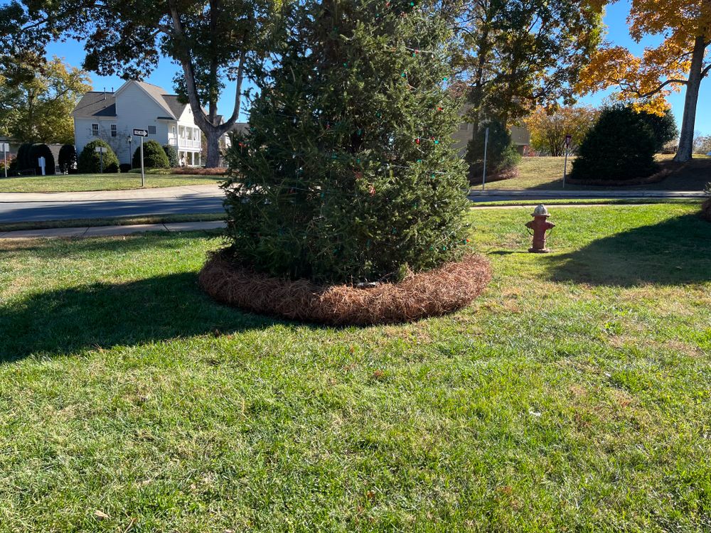 Pine Needle Installation for Dream Cuts Landscaping and Lawn Care LLC in Gastonia, NC