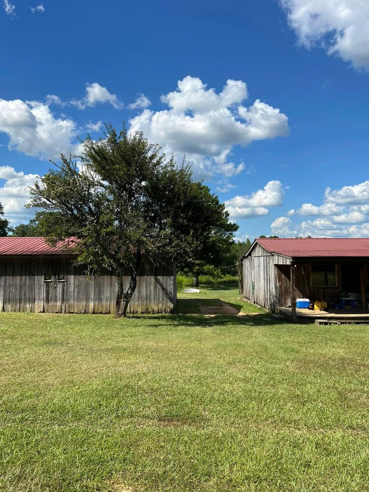 Other Services for T N L - Tree and Land Service in Reynolds, GA