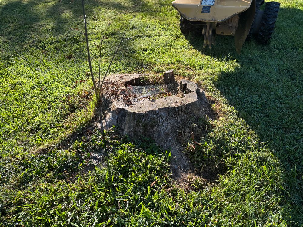 All Photos for Conrad's Stump Removal in Columbus, IN