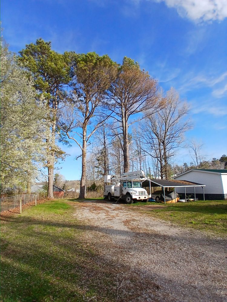 All Photos for Puckett's Tree Service in Decatur County, TN