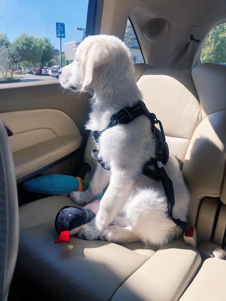 All Photos for JR Garage Door and Services in Charles County, MD