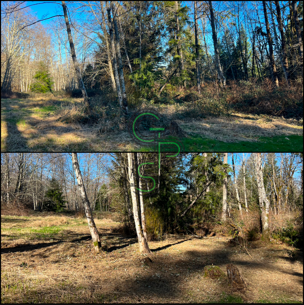 Blackberry Mulching - Brush Clearing for Golovin Property Services LLC in Marysville, WA