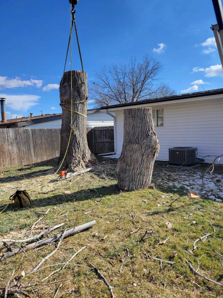 All Photos for Sloan Tree Service in Aurora, CO
