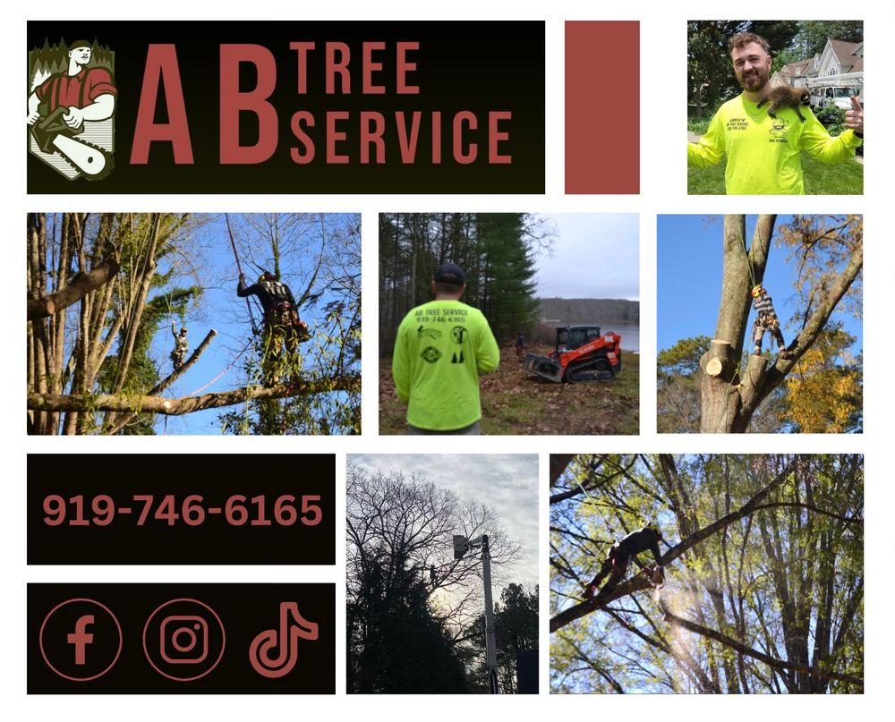 All Photos for AB Tree Service in Raleigh, NC