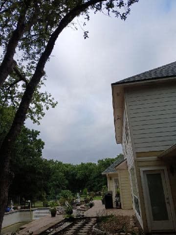 Tree Removal for Marks Tree Service in Fort Worth, TX