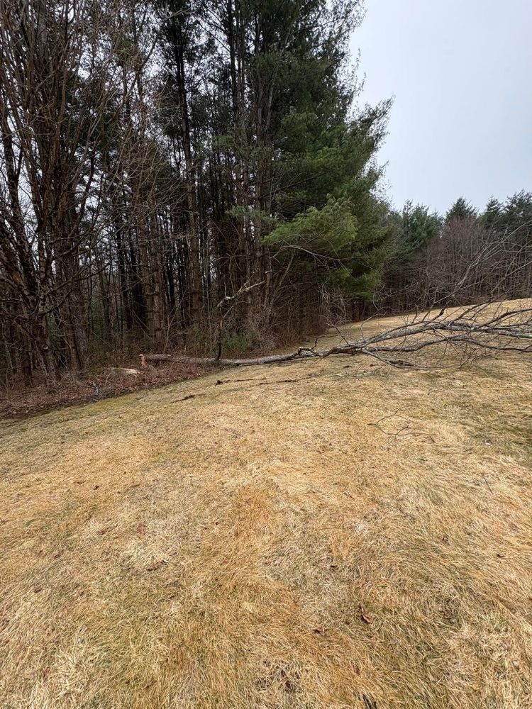 Hydroseeding for Chapman's Lawn & Landscape in Ellington, CT