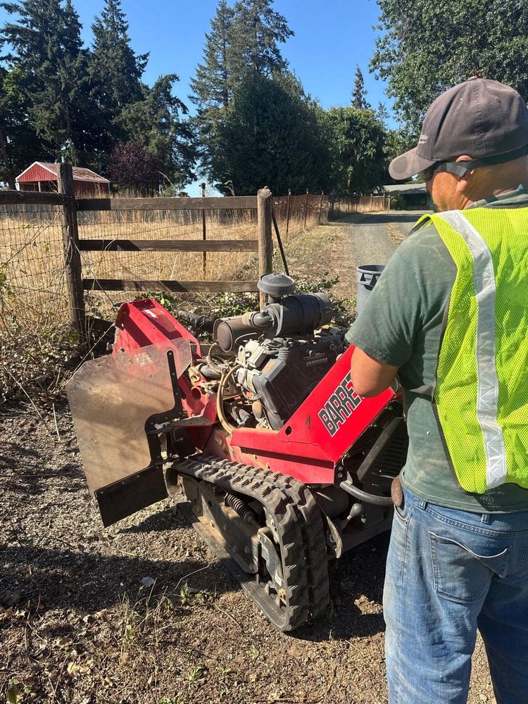 All Photos for Willamette Landscaping and Tree Services in Albany, OR